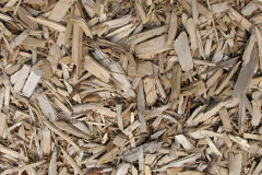 biomass boilers Danby Wiske